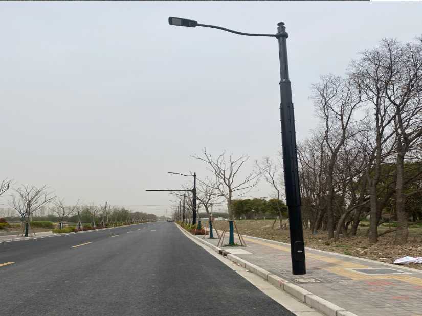陇西县上海综合杆 太阳能路灯工程